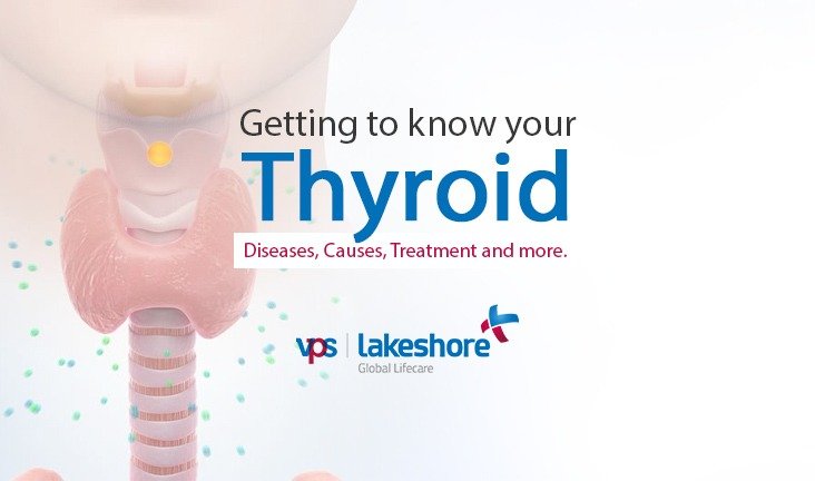 Getting to know your Thyroid: Diseases, Causes, Treatment and more