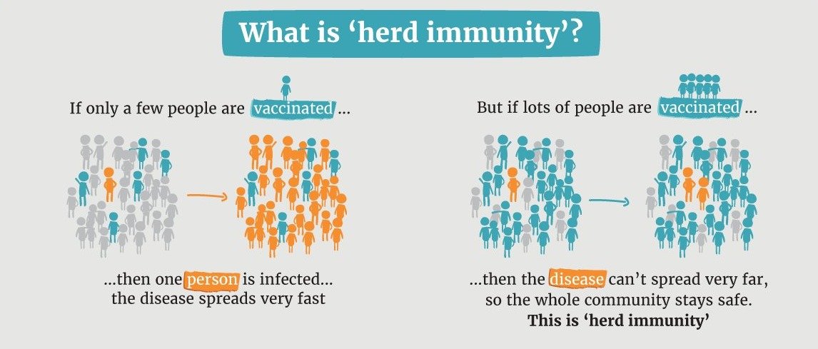 What is Herd Immunity and can we really achieve it with ...