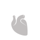 Cardiothoracic & Vascular Surgery